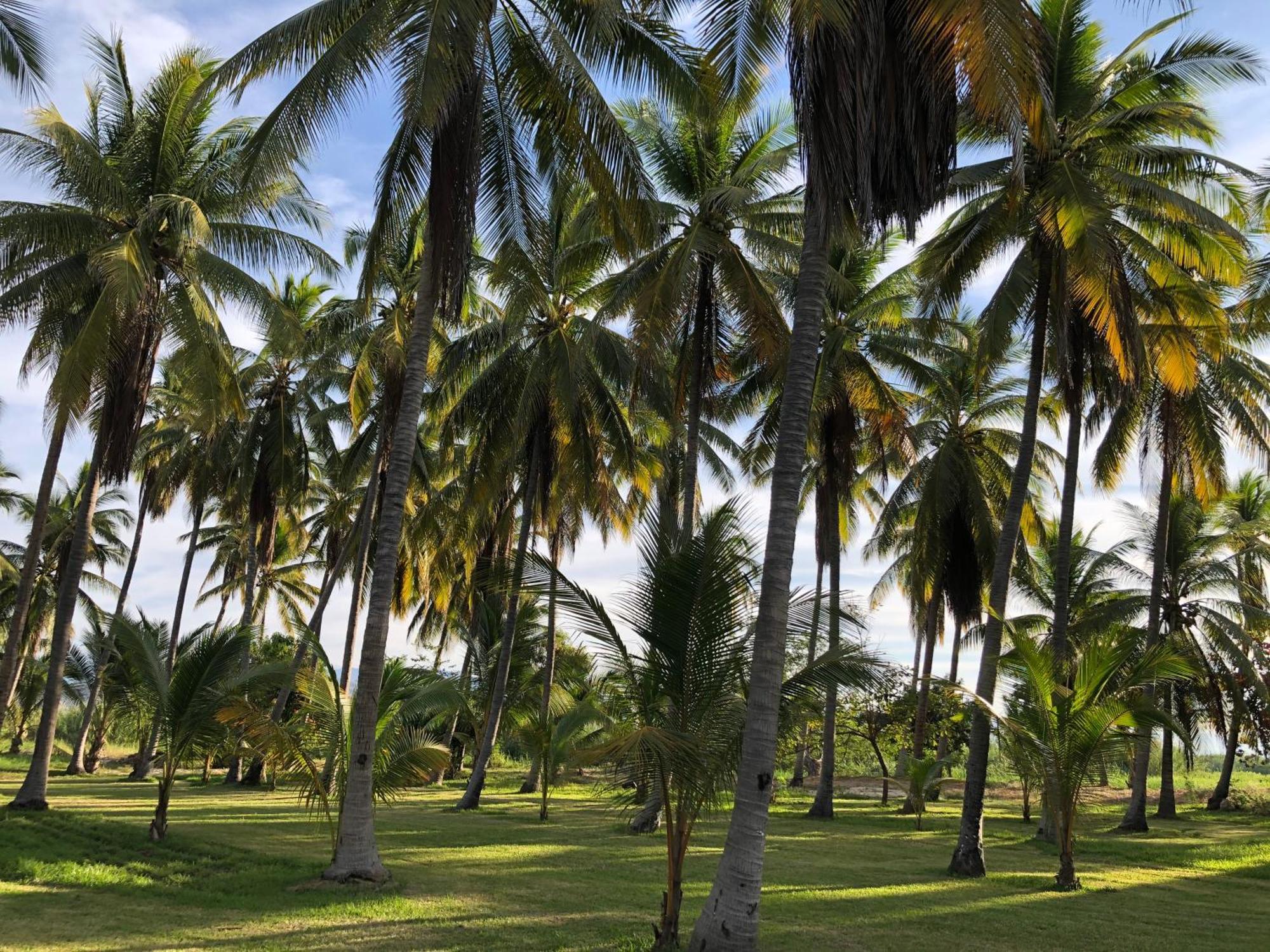 Casa Kunda'vi Beach Front Paradise Recado Bagian luar foto